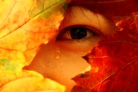 autumn tears